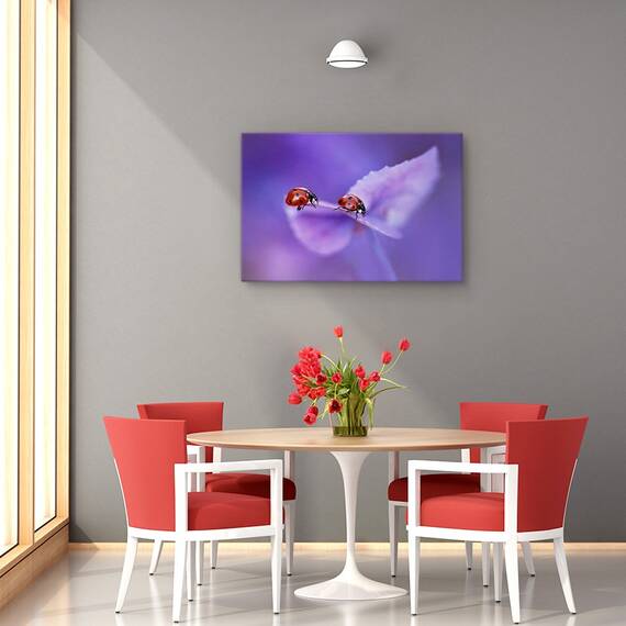 Tablou canvas - Anemone Japonica, Natura moarta, Flori, Marime: 60 x 90 cm - 4- Roveli