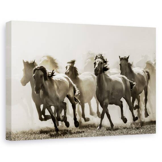 Tablou canvas - Simfonia culorilor, Natura moarta, Abstract, Colorat, Picaturi, Marime: 60 x 90 cm - - Roveli