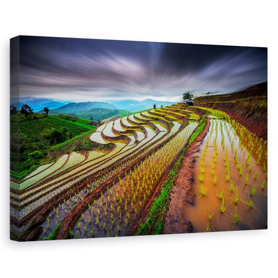 Tablou canvas - Sa inceapa spectacolul, Flori, Insecte, Strain, Cuplu, Marime: 60 x 90 cm - - Roveli