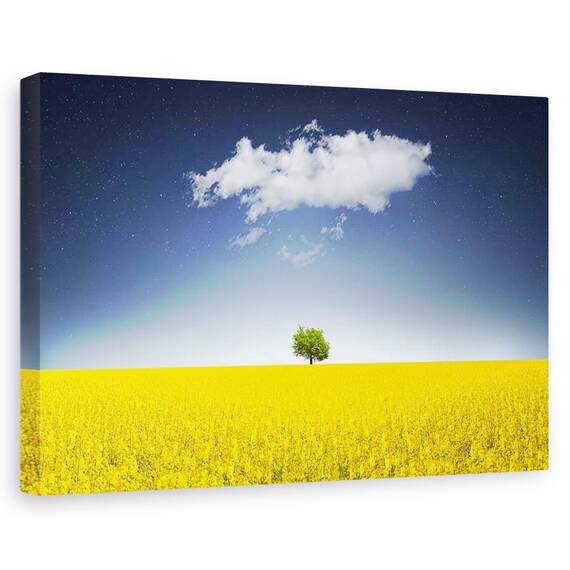 Tablou canvas - Trandafir colorat, Flori, Roz, Roua, Petale, Marime: 60 x 90 cm - - Roveli
