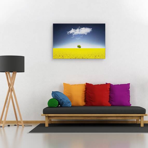 Tablou canvas - Trandafir colorat, Flori, Roz, Roua, Petale, Marime: 60 x 90 cm - 2- Roveli