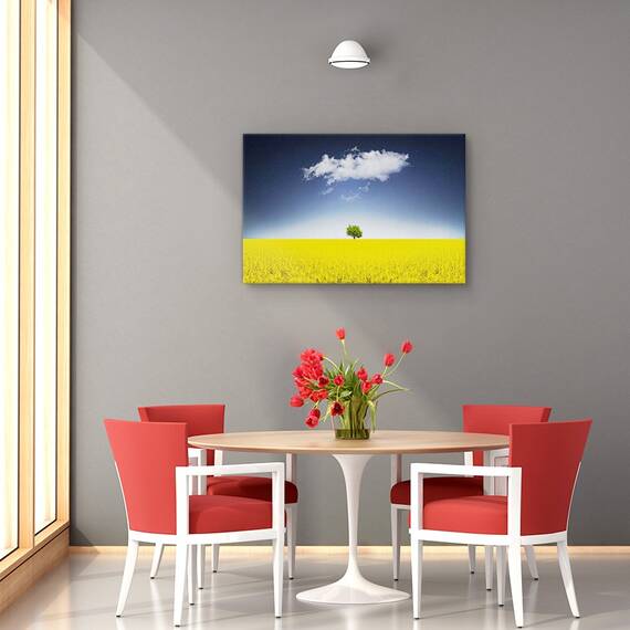 Tablou canvas - Trandafir colorat, Flori, Roz, Roua, Petale, Marime: 60 x 90 cm - 4- Roveli