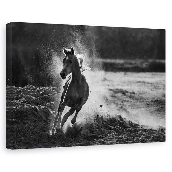 Tablou canvas - Fata din Mursi, Oameni, Femeie, Indigen, Africa, Marime: 60 x 90 cm - - Roveli
