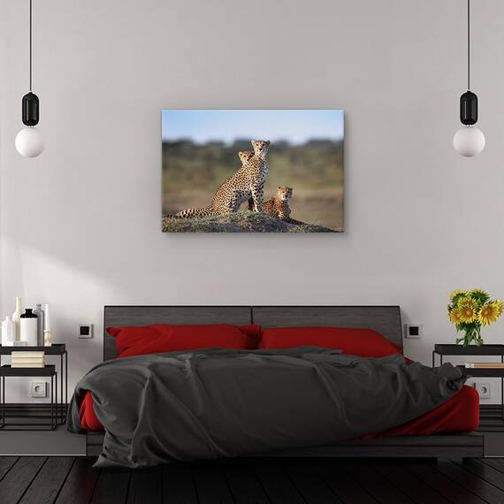 Tablou canvas - Mursi, Oameni, Africa, Cercei, Femeie, Marime: 60 x 90 cm - 3- Roveli