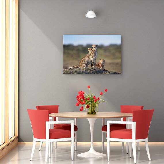 Tablou canvas - Mursi, Oameni, Africa, Cercei, Femeie, Marime: 60 x 90 cm - 4- Roveli