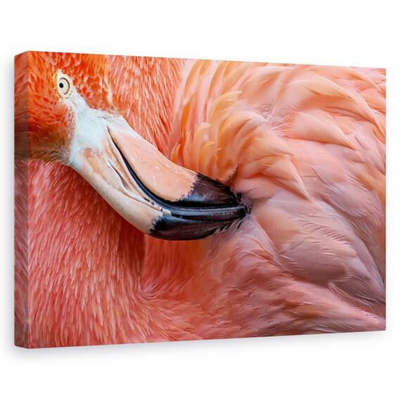 Tablou canvas - imbatranind, Spre apusul vietii, Natura moarta, Toamna, Flori, Seminte, Marime: 60 x 90 cm - - Roveli