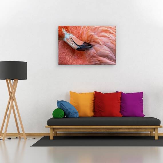 Tablou canvas - imbatranind, Spre apusul vietii, Natura moarta, Toamna, Flori, Seminte, Marime: 60 x 90 cm - 2- Roveli