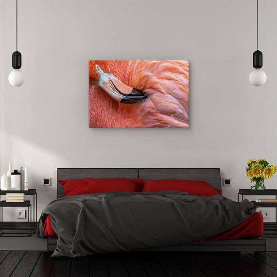 Tablou canvas - imbatranind, Spre apusul vietii, Natura moarta, Toamna, Flori, Seminte, Marime: 60 x 90 cm - 3- Roveli