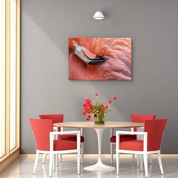 Tablou canvas - imbatranind, Spre apusul vietii, Natura moarta, Toamna, Flori, Seminte, Marime: 60 x 90 cm - 4- Roveli