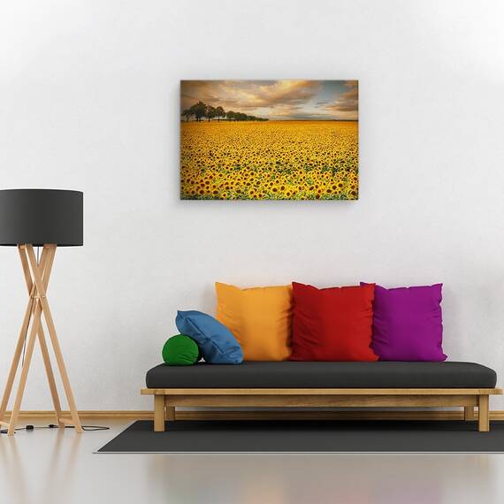 Tablou canvas - Libertate, Peisaj, Copaci, Campuri, Dimineata, Marime: 60 x 90 cm - 2- Roveli