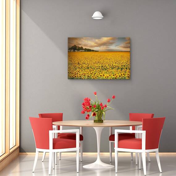 Tablou canvas - Libertate, Peisaj, Copaci, Campuri, Dimineata, Marime: 60 x 90 cm - 4- Roveli