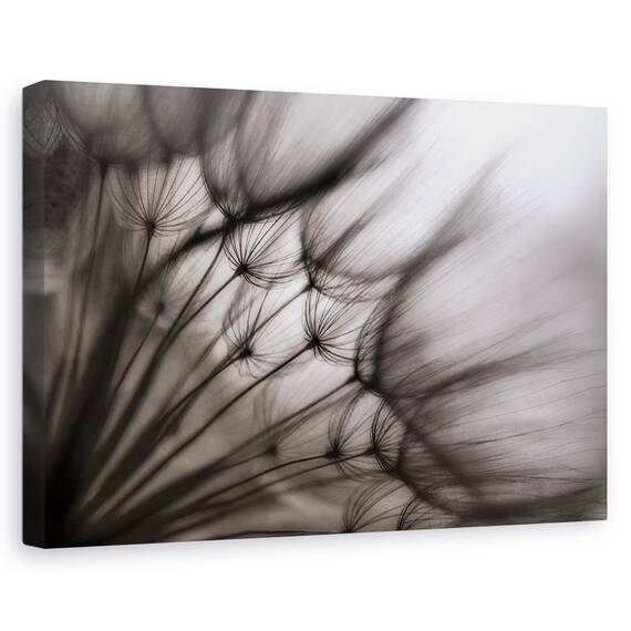 Tablou canvas - Flori, Abstracte, Atmosfera, Bland, Marime: 60 x 90 cm - - Roveli
