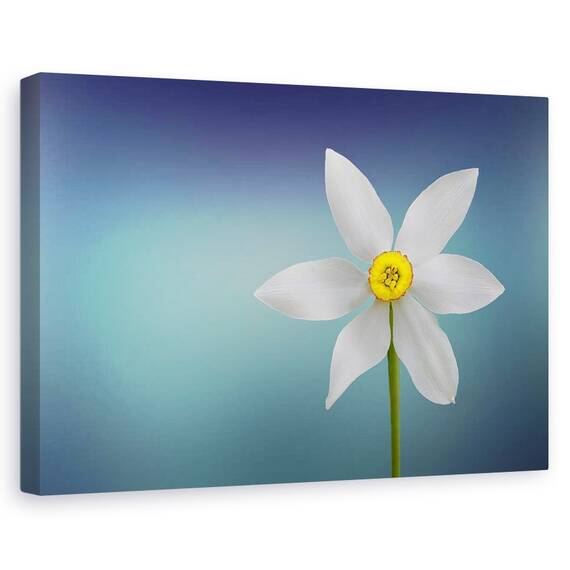 Tablou canvas - Floria Paradisului, Natura moarta, Turcoaz, Simplitate, Minimalism, Marime: 60 x 90 cm - - Roveli