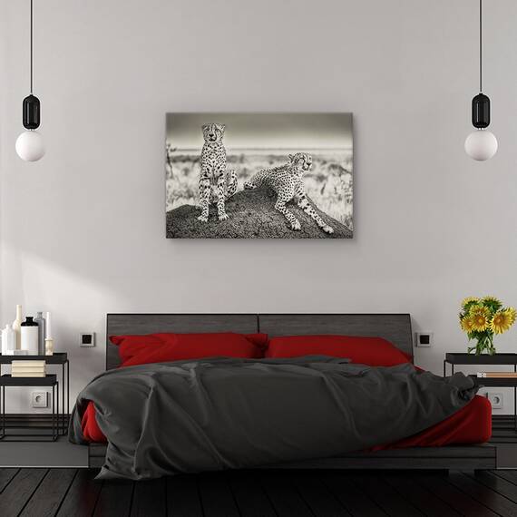 Tablou canvas - Nuante pastelate, Peisaj, Ghetar, Padure, Copaci, Marime: 60 x 90 cm - 3- Roveli