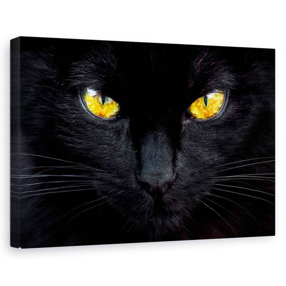 Tablou canvas - Autobuz, Peisaj, Valiza, Nisip, Naufragiat, Marime: 60 x 90 cm - - Roveli