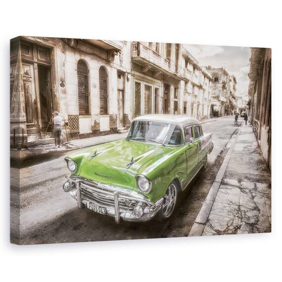 Tablou canvas - Maci si buburuze, Natura moarta, Rosu, Flori, Simplu, Marime: 60 x 90 cm - - Roveli