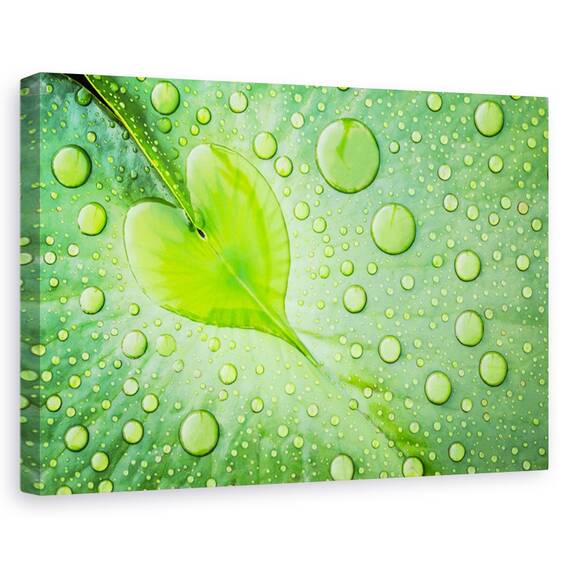 Tablou canvas - Spanz, Natura moarta, Primavara, Flori, Marime: 60 x 90 cm - - Roveli