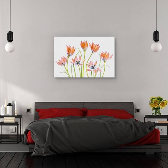 Tablou canvas - Natura moarta cu musetel, Margareta, Flori, Cirese, Marime: 60 x 90 cm - 3- Roveli