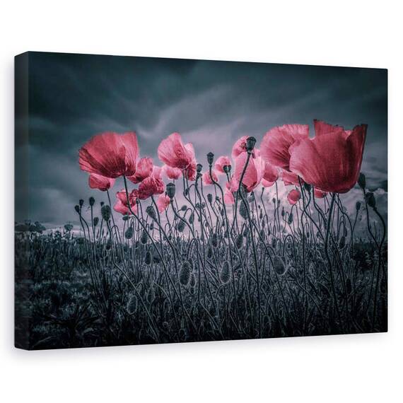 Tablou canvas - Amsterdam 39, Flori, Rau, Reflectie, Apa, Marime: 60 x 90 cm - - Roveli