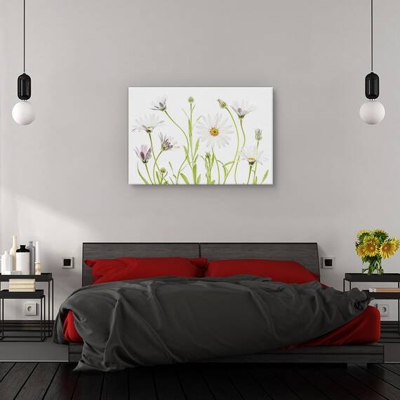 Tablou canvas - Margarete, Natura moarta, Flora, Alb, Verde, Marime: 60 x 90 cm - 3- Roveli