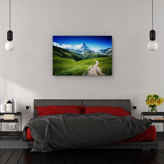 Tablou canvas - Buburuza pe hortensie, Flori, Insecte, Rosu, Toamna, Marime: 60 x 90 cm - 3- Roveli
