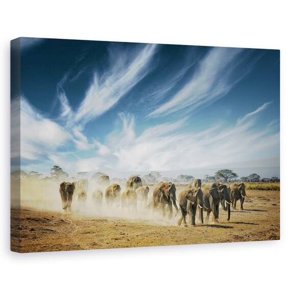 Tablou canvas - Cand oceanul se transforma in foc albastru, Ocean, Insulele Canare, Spania, Marime: 60 x 90 cm - - Roveli