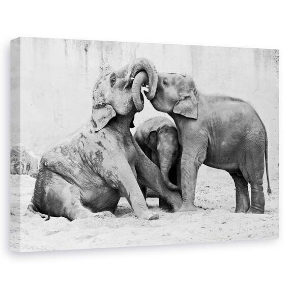 Tablou canvas - Gama de culori, Peisaj, Dune De Nisip, Umbra, Curbe, Marime: 60 x 90 cm - - Roveli