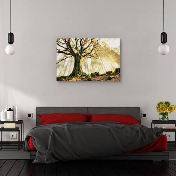 Tablou canvas - Natura moarta, Struguri, Mere, Frunze, Marime: 60 x 90 cm - 3- Roveli