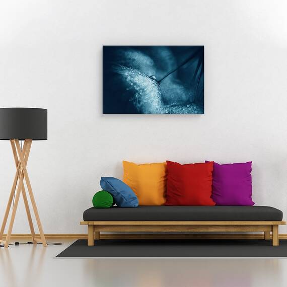 Tablou canvas - Papadie albastra, Flori, Picatura, Lumina, Tonifiat, Marime: 60 x 90 cm - 2- Roveli
