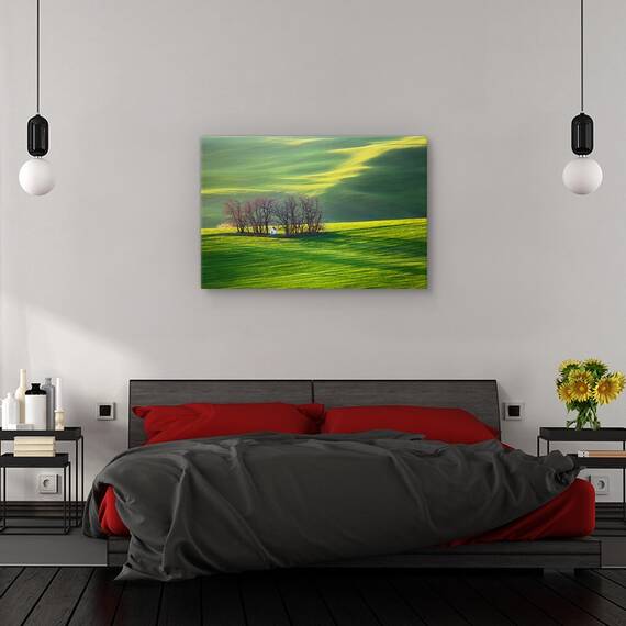 Tablou canvas - Pene si stropi, Flori, Camp, Vara, Marime: 60 x 90 cm - 3- Roveli
