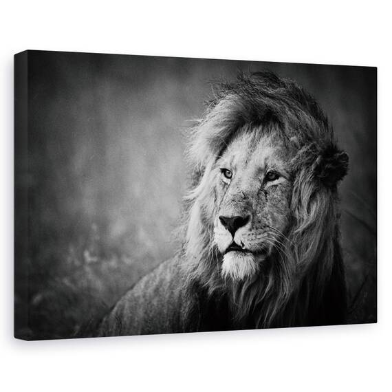 Tablou canvas - Toamna, Peisaj, Atmosfera, Padure, Ceata, Marime: 60 x 90 cm - - Roveli