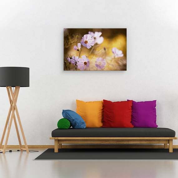 Tablou canvas - Bivol de apa, Animal, Palarie, Joc, Distractie, Marime: 60 x 90 cm - 2- Roveli