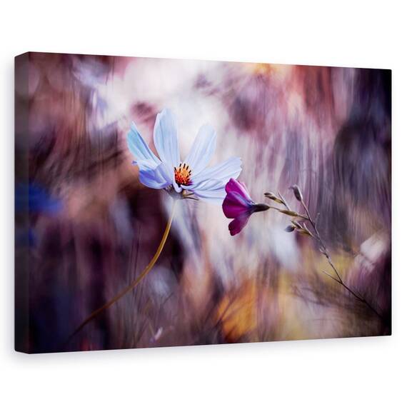 Tablou canvas - Cortina albastra, Peisaj, Cascada, Piatra, Marime: 60 x 90 cm - - Roveli