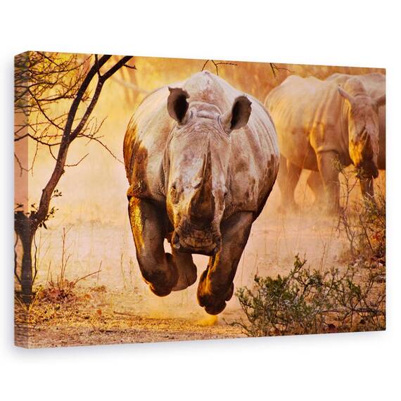 Tablou canvas - Anemone, Natura moarta, Flori, Mov, Marime: 60 x 90 cm - - Roveli