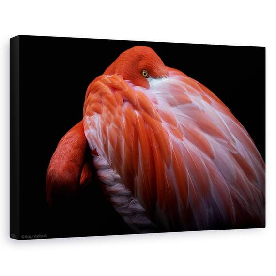 Tablou canvas - Little-Jumbo, Obiecte, Tren Cu Aburi, Transport, Epoca, Marime: 60 x 90 cm - - Roveli