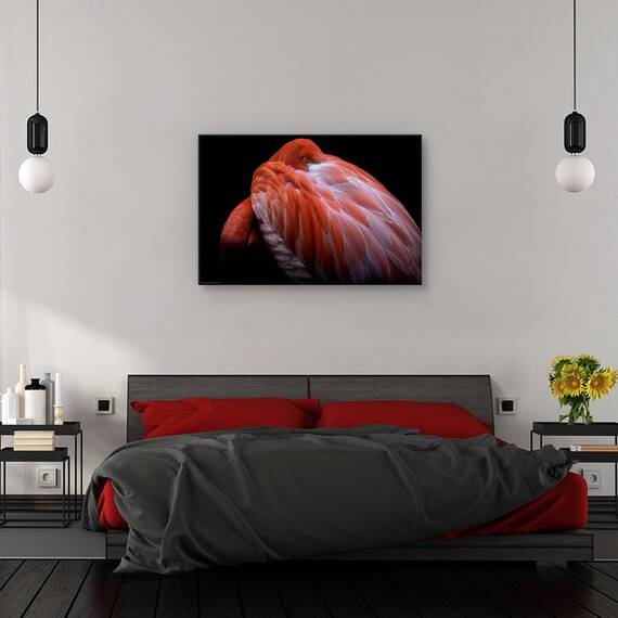 Tablou canvas - Little-Jumbo, Obiecte, Tren Cu Aburi, Transport, Epoca, Marime: 60 x 90 cm - 3- Roveli