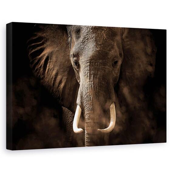 Tablou canvas - Paradis montan, Peisaj, Toamna, Colorat, Munte, Marime: 60 x 90 cm - - Roveli