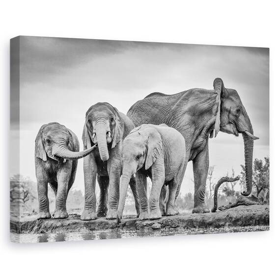Tablou canvas - Noiembrie 2014, Peisaj, Mesteacan, Copac, Apa, Marime: 60 x 90 cm - - Roveli