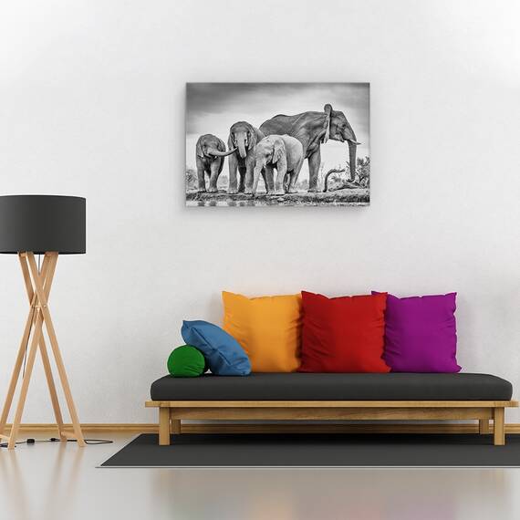 Tablou canvas - Noiembrie 2014, Peisaj, Mesteacan, Copac, Apa, Marime: 60 x 90 cm - 2- Roveli