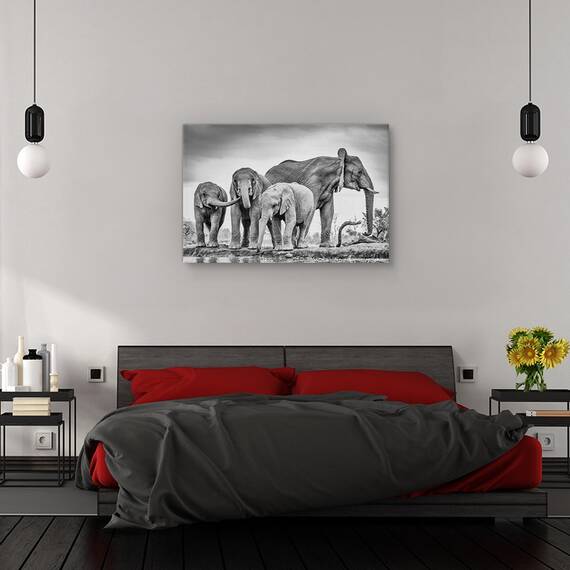 Tablou canvas - Noiembrie 2014, Peisaj, Mesteacan, Copac, Apa, Marime: 60 x 90 cm - 3- Roveli