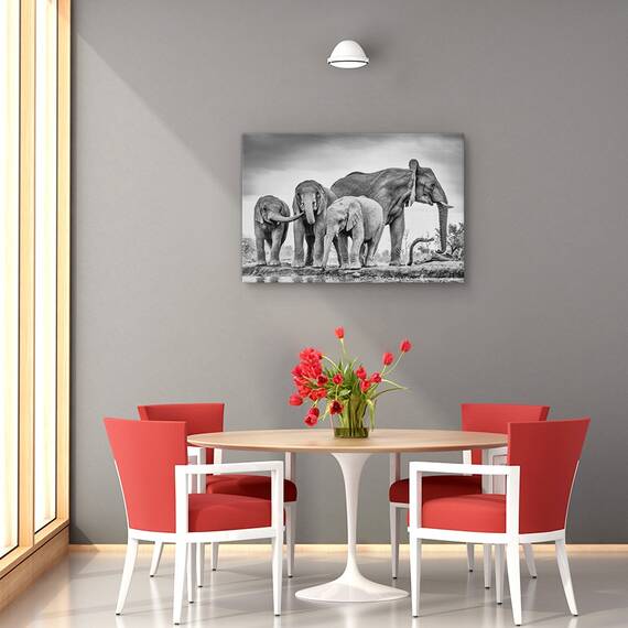 Tablou canvas - Noiembrie 2014, Peisaj, Mesteacan, Copac, Apa, Marime: 60 x 90 cm - 4- Roveli