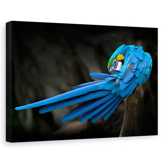 Tablou canvas - Padurea albastra, Peisaj, Ceata, Vara, Flori, Marime: 60 x 90 cm - - Roveli