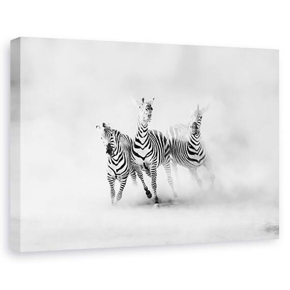 Tablou canvas - Specii pe cale de disparitie, Portret, Corp, Capcana, Inchisoare, Marime: 60 x 90 cm - - Roveli