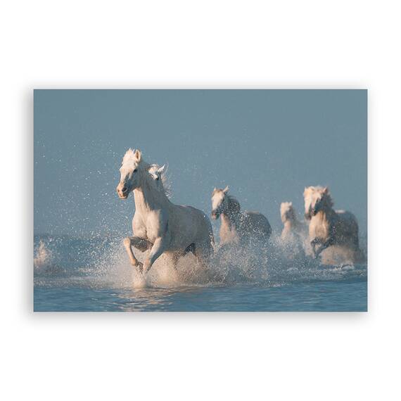 Tablou Canvas - Ingerii Din Camargue, Marime: 60 x 90 cm - - Roveli