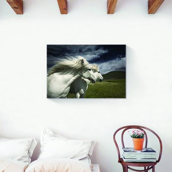 Tablou Canvas - Animal, Cai, Alb, Marime: 60 x 90 cm - 2- Roveli