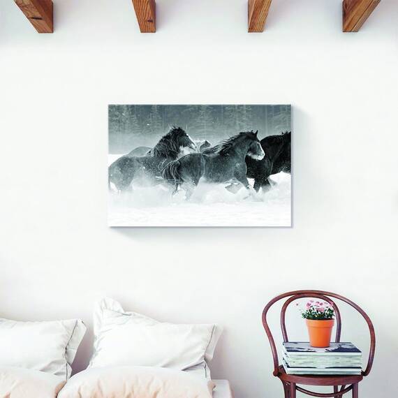 Tablou Canvas - Cai, Iarna, Ninsoare, Animal, Marime: 40 x 60 cm - 2- Roveli
