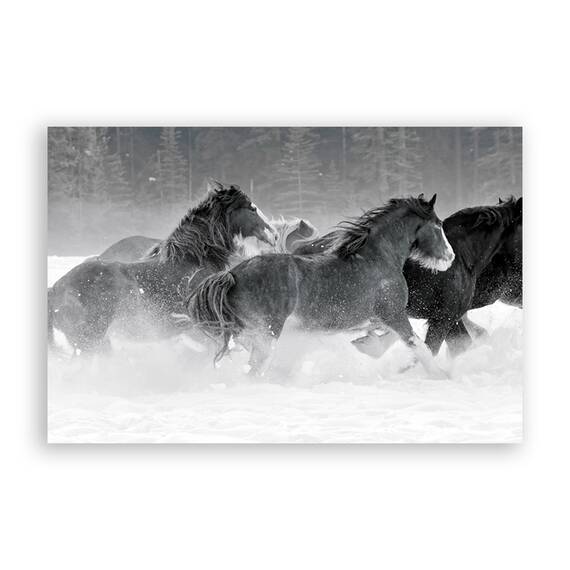 Tablou Canvas - Cai, Iarna, Ninsoare, Animal, Marime: 60 x 90 cm - - Roveli