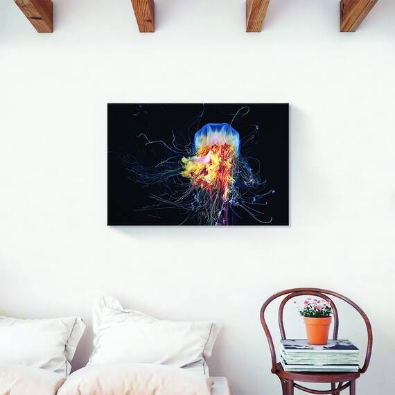 Tablou Canvas -  Meduza, Animal, Mare, Marime: 40 x 60 cm - 2- Roveli