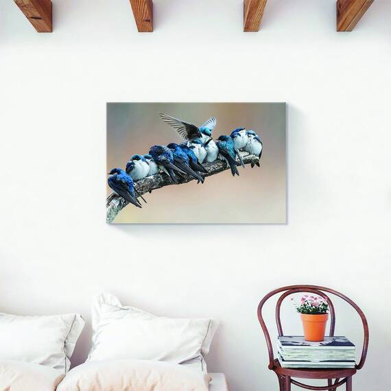 Tablou Canvas - Animal, Pasari, Creanga, Albastru, Marime: 60 x 90 cm - 2- Roveli