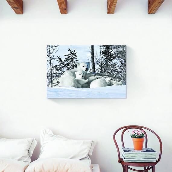 Tablou Canvas - Urs Polar, Animal, Zapada, Iarna, Marime: 60 x 90 cm - 2- Roveli